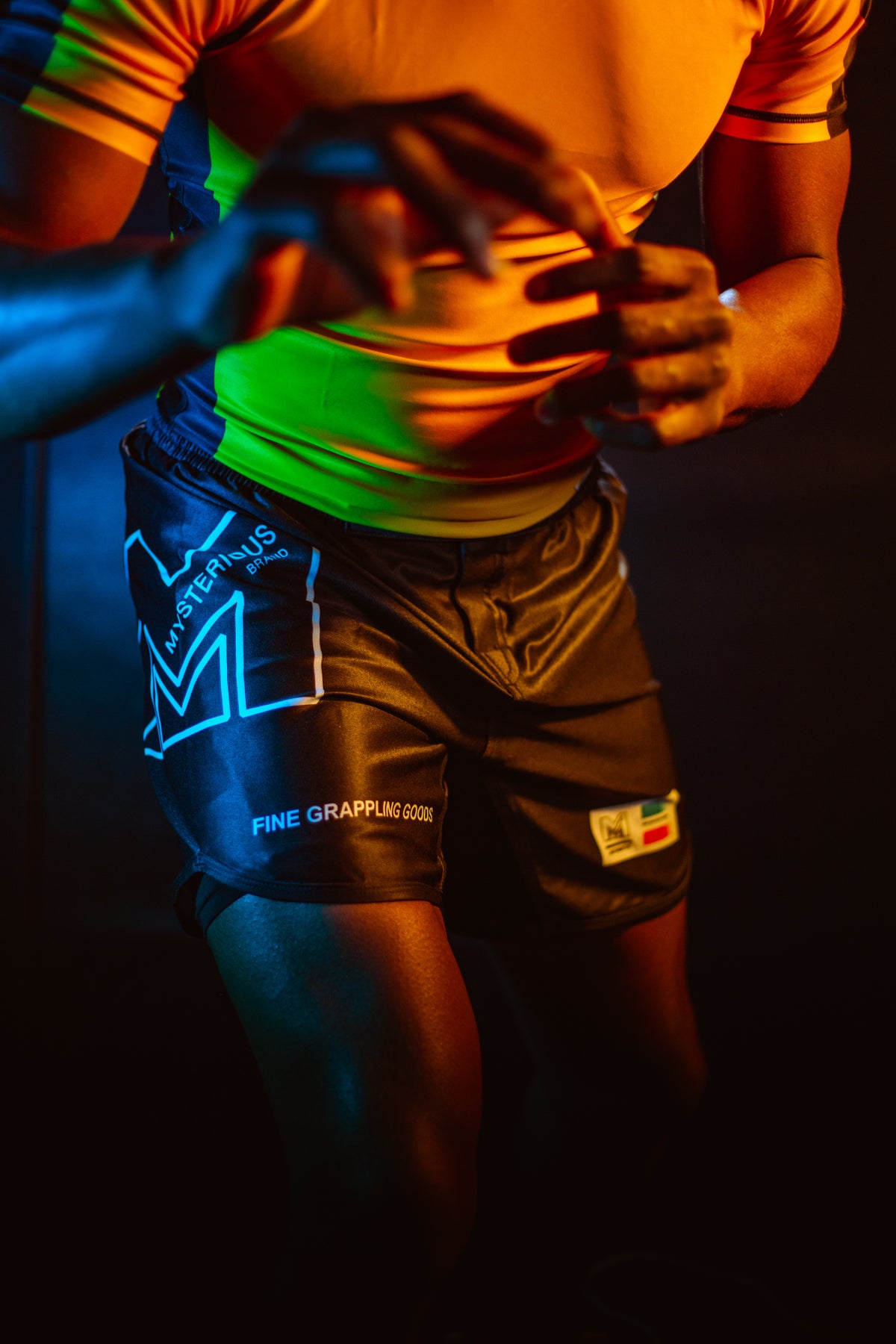 "Standard Issue" No Gi Shorts